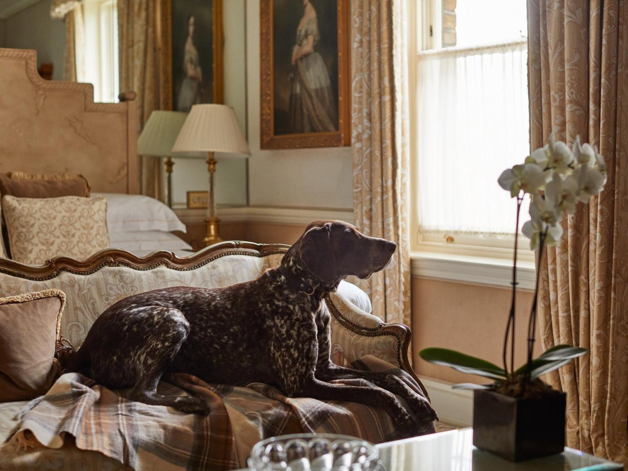 Hotel Egerton House Londra Esterno foto
